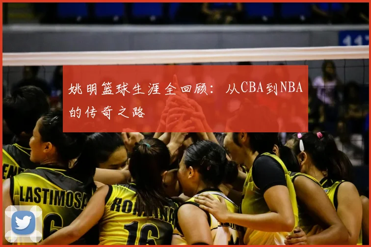 姚明篮球生涯全回顾：从CBA到NBA的传奇之路