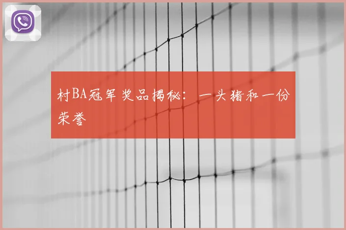 村BA冠军奖品揭秘：一头猪和一份荣誉