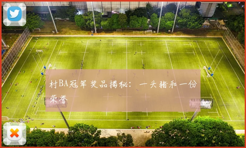 村BA冠军奖品揭秘：一头猪和一份荣誉